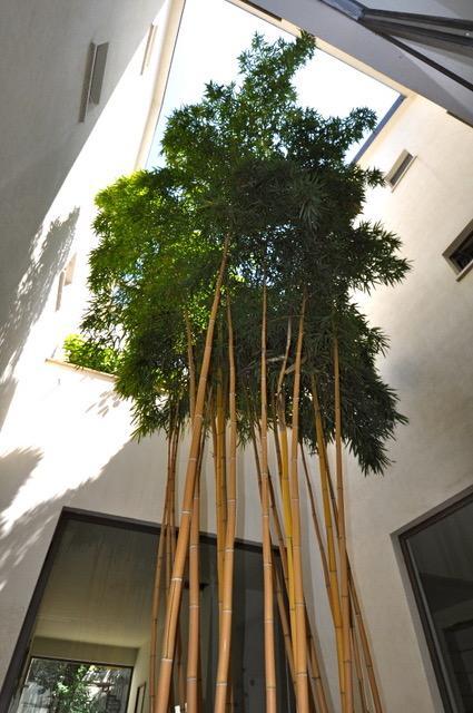 La Dimora Residence Mailand Exterior foto